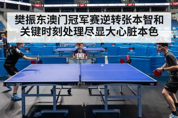 樊振东澳门冠军赛逆转张本智和关键时刻处理尽显大心脏本色