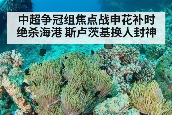 中超争冠组焦点战申花补时绝杀海港 斯卢茨基换人封神